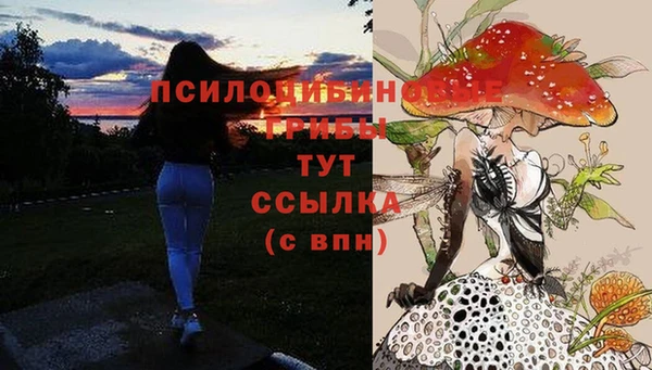 не бодяженный Абдулино