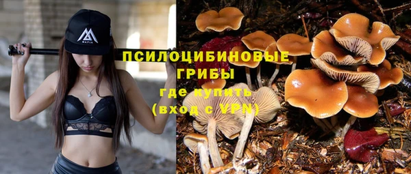 spice Абинск