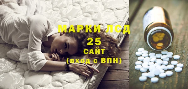 ГАЛЛЮЦИНОГЕННЫЕ ГРИБЫ Абаза