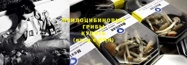 ГАЛЛЮЦИНОГЕННЫЕ ГРИБЫ Абаза