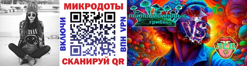 shop Telegram  Соликамск  Псилоцибиновые грибы мухоморы  OMG маркетплейс 